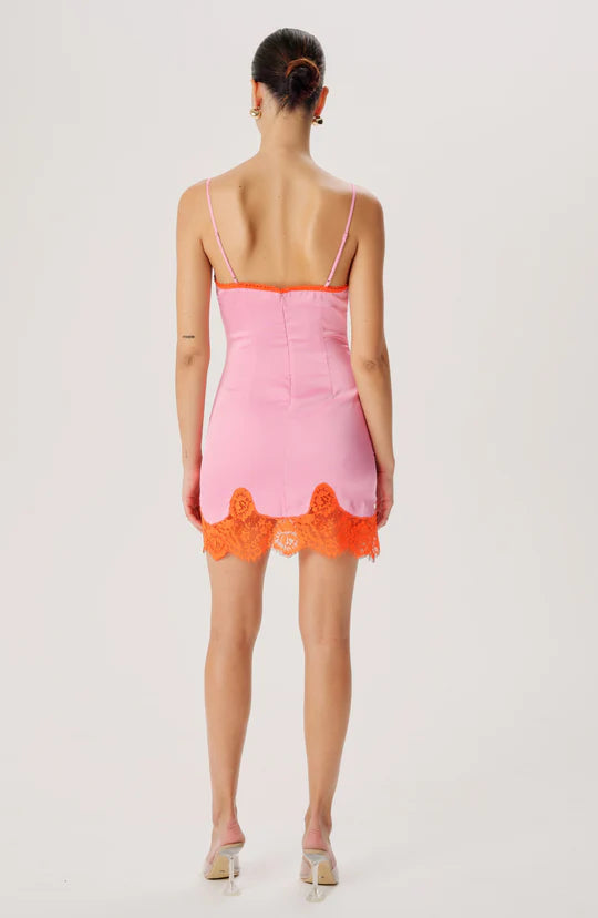 Ronny Kobo Nyko Dress in Carnation/Orange